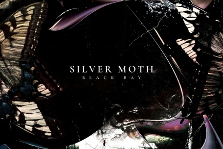 Silver Moth – Black Bay