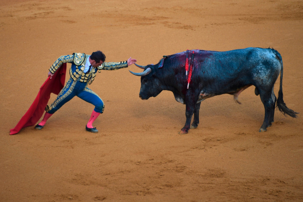Spanien / Kein Geld mehr für den Stierkampf